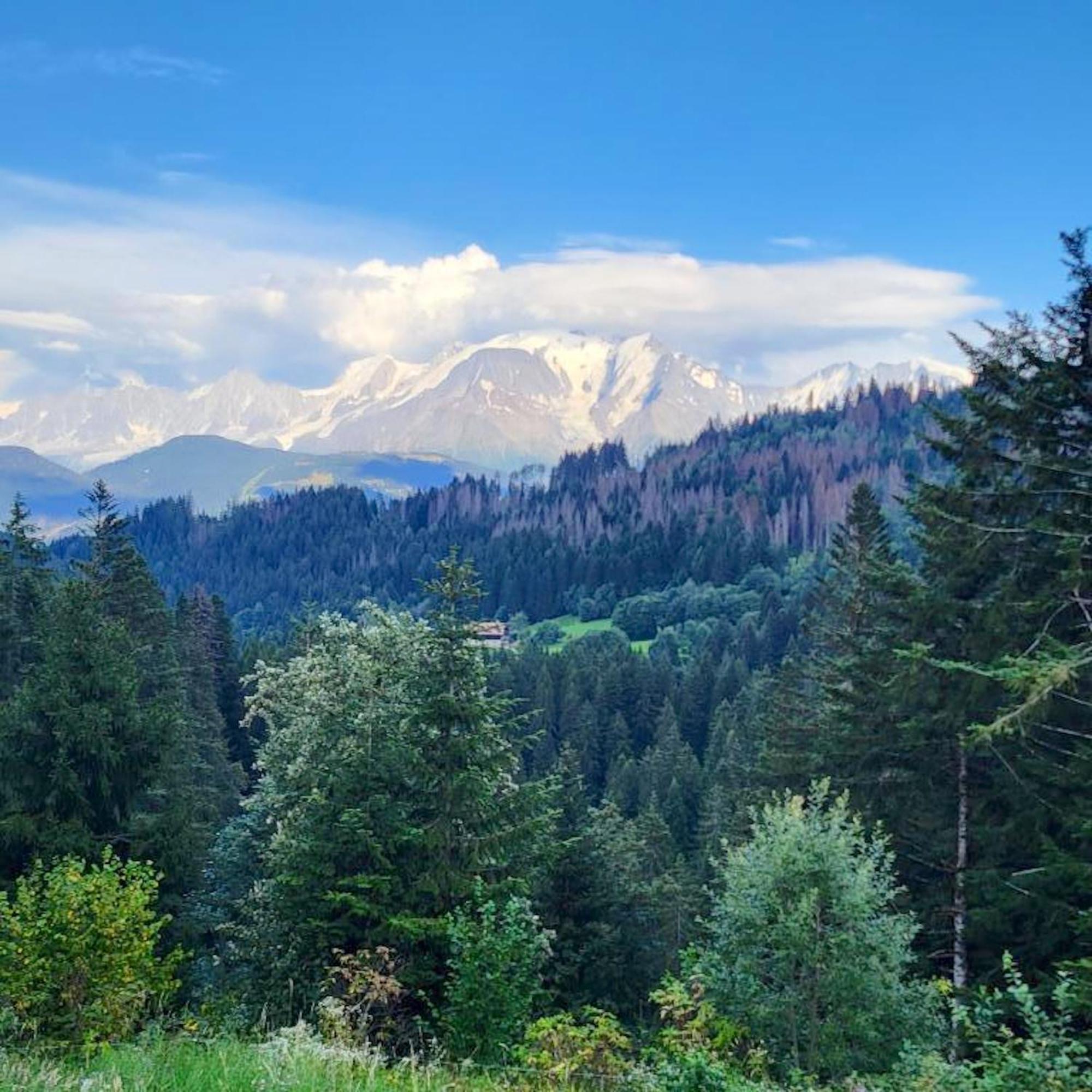 Studio Accueillant A Cordon Vue Mont Blanc 22 M² Parking Inclus Εξωτερικό φωτογραφία