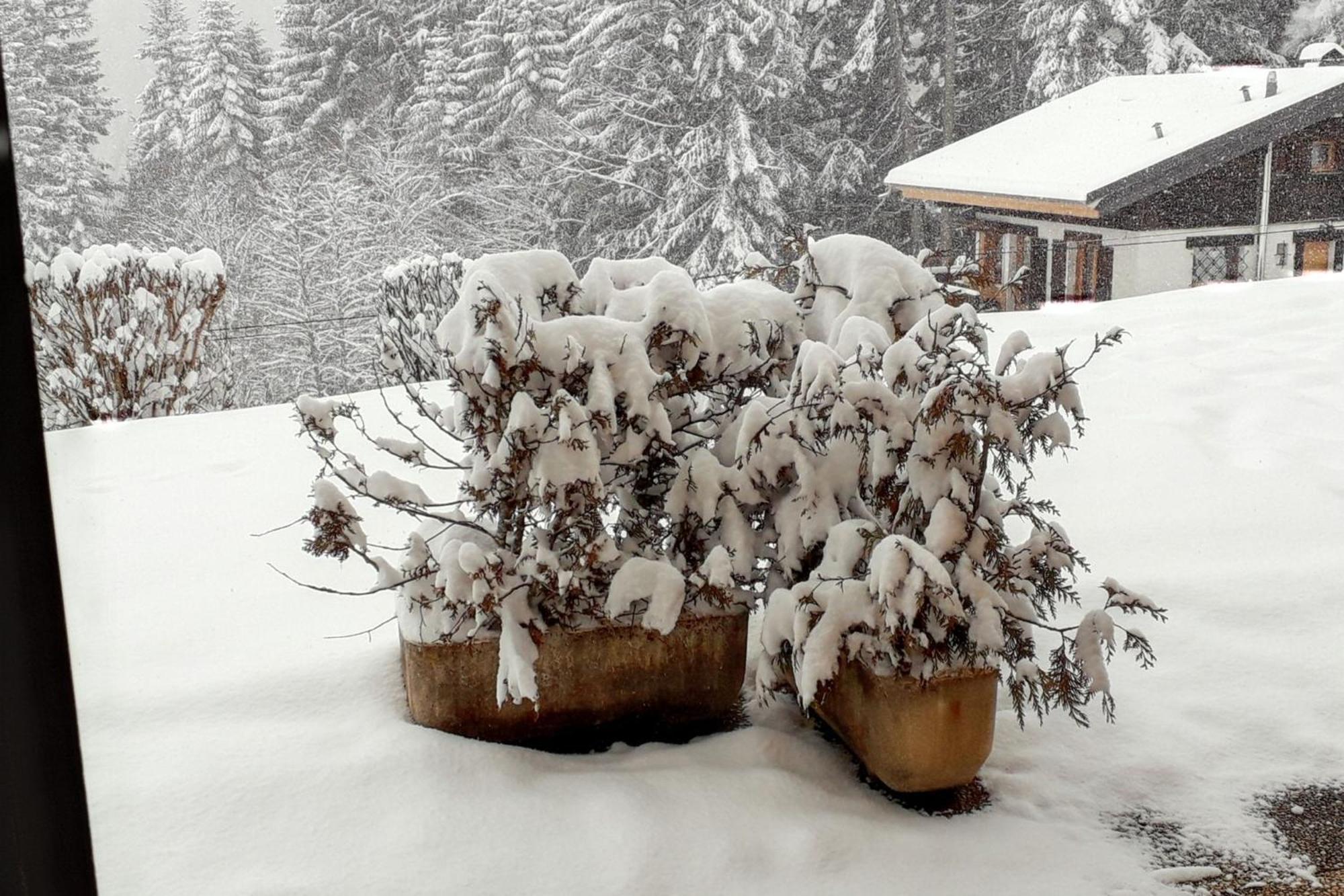 Studio Accueillant A Cordon Vue Mont Blanc 22 M² Parking Inclus Εξωτερικό φωτογραφία